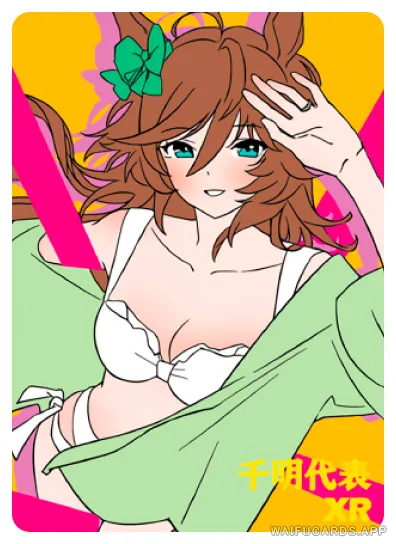 NS-05-M10-5 Mr.CB | Uma musume Pretty Derby